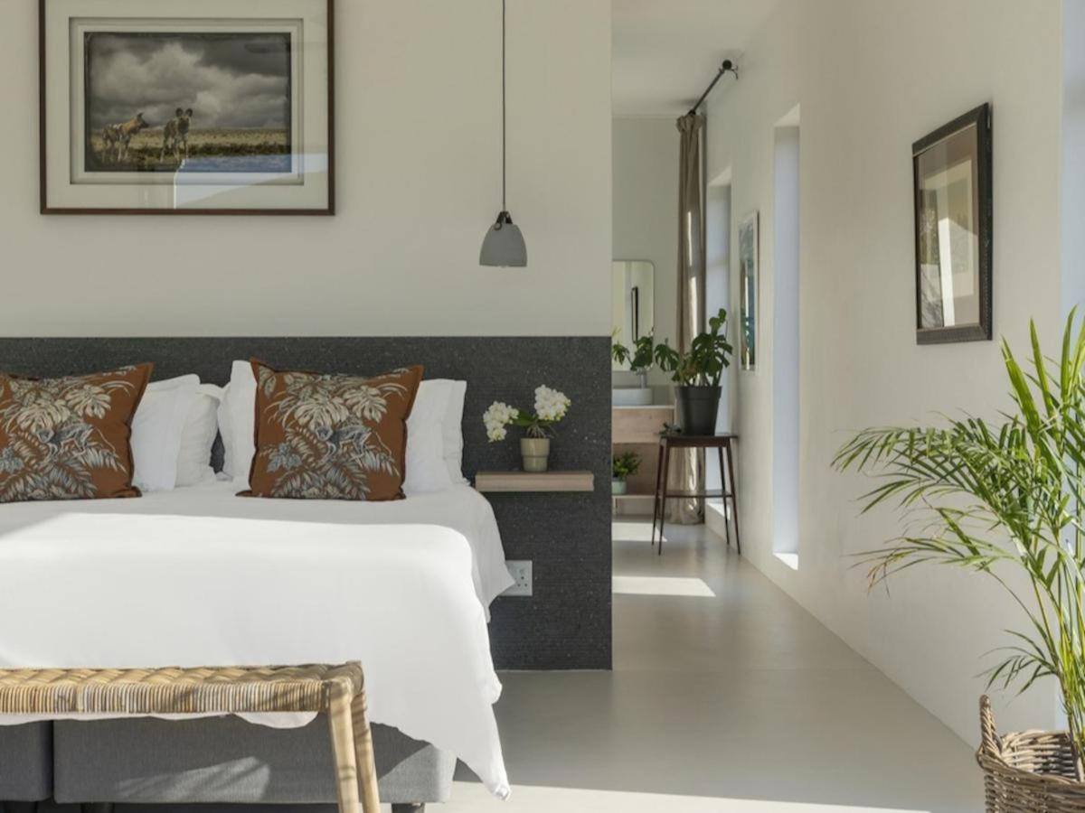 Magnifik Montagu Villa Rum bild